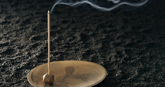 NAGAE+（ナガエプリュス）