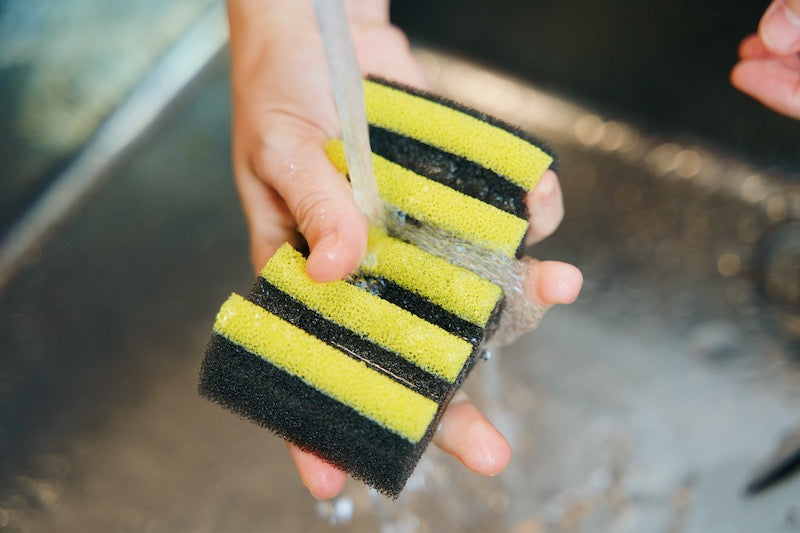 ボーダースポンジ