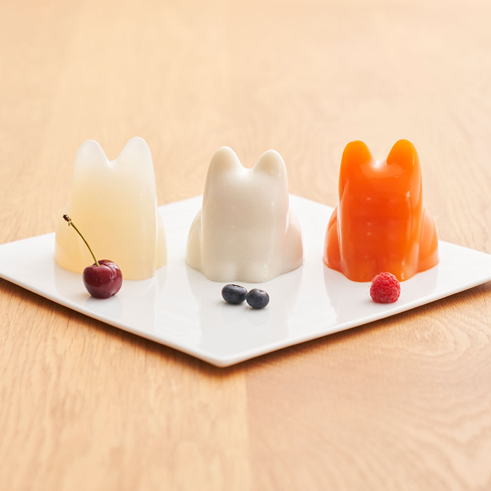 +d ネコカップ / コネコカップ