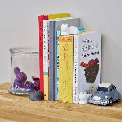 +d｜コネゴ ネゴ