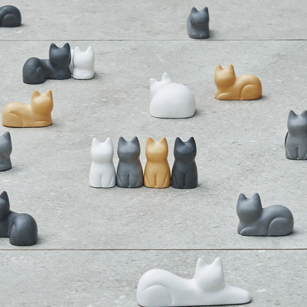 +d｜コネゴ ネゴ