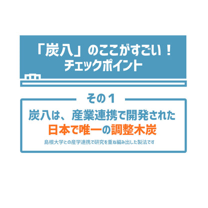 炭八 2重袋のスマート小袋 10個セット