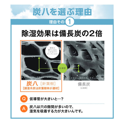 炭八 室内用 大袋 12L 4個セット