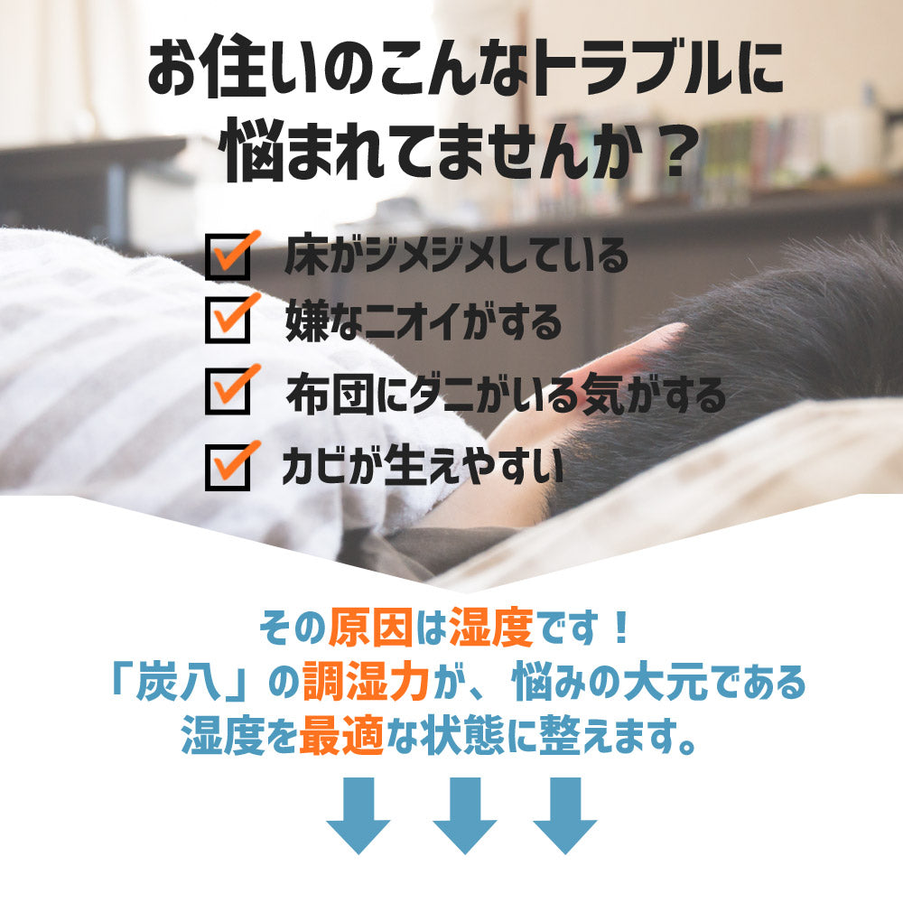 炭八 床下用 12L