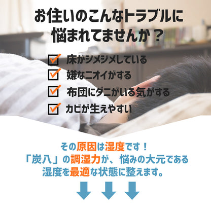 炭八 床下用 12L