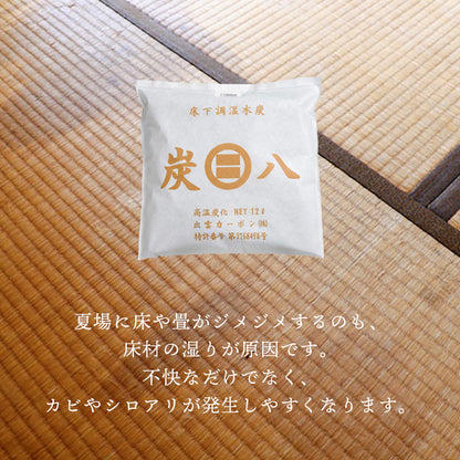 炭八 床下用 12L