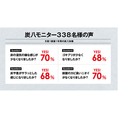 炭八 専用カバー付き 室内用 大袋 1袋