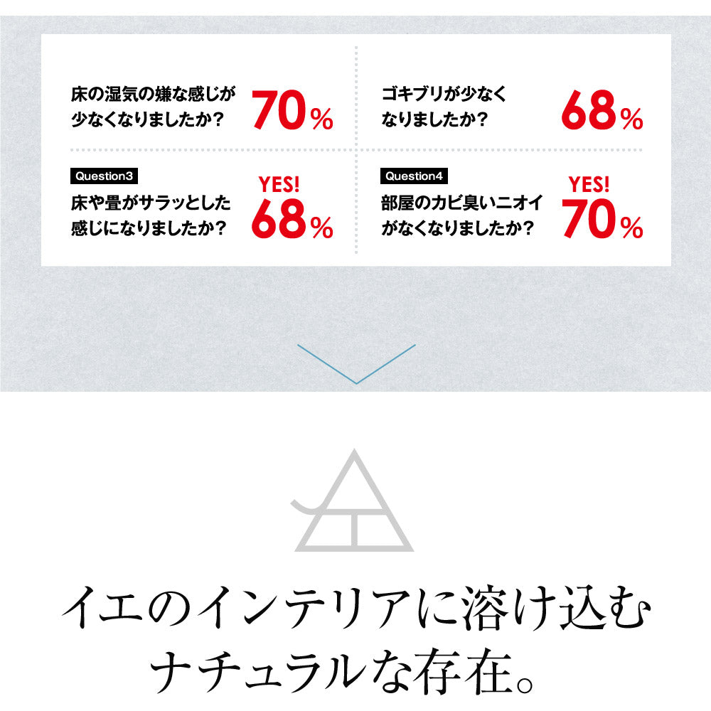 炭八 ミニ 選べるセット